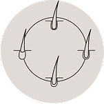 Holistische haar- en hoofdhuidverzorging